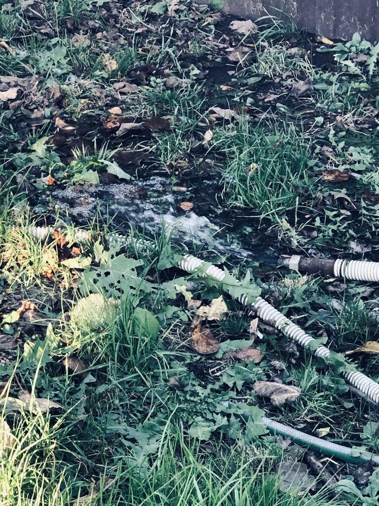 Вот так мы сливаем воду из не дренажного колодца. Фото автора. 