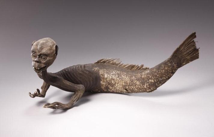 Но тем не менее объясняет некоторые моменты развития человека. Согласно ей выбравшись из джунглей наш предок пошёл не в саванну, а к морю, реке, озеру. Купаться и нырять. Вот некоторые особенности человека связанные с акватической теорией. Современные люди могут нырять за счёт произвольного контроля процесса дыхания. Более того люди имеют так называемый рефлекс закрытия дыхательных путей при погружении в воду. Этот рефлекс автоматически срабатывает когда вода доходит до лица. 