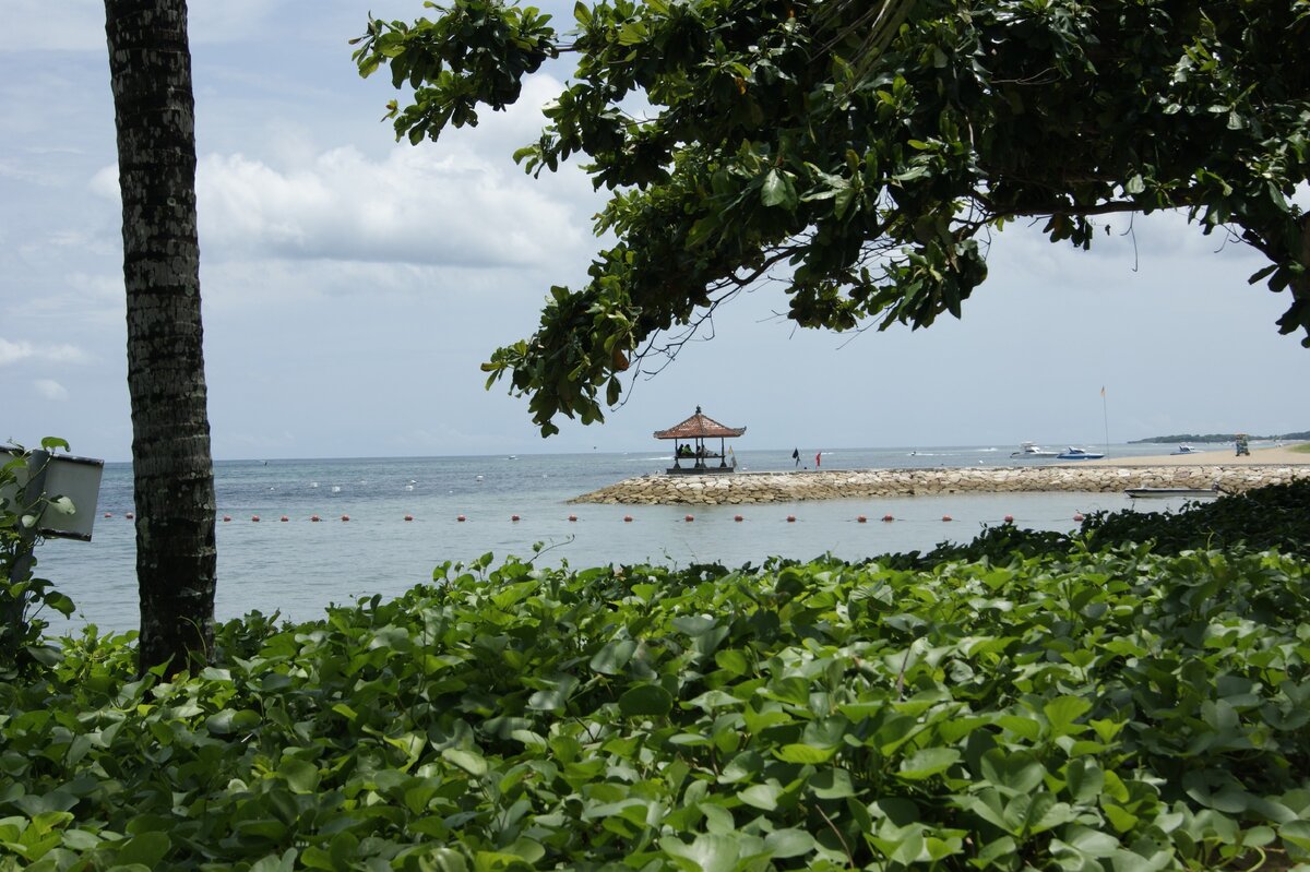 И тогда эти виды станут регулярными. А не просто фото с далёкой зимовки 2014. Фото автора.