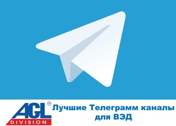 Таможенное оформление в Польше, каналы телеграмм, которые будут лучшим вариантом