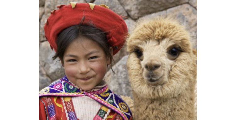 Перуанская девочка народов кечуа с альпакой. Этих животных многие местные разводят для шерсти и мяса. Фото из открытых источников.