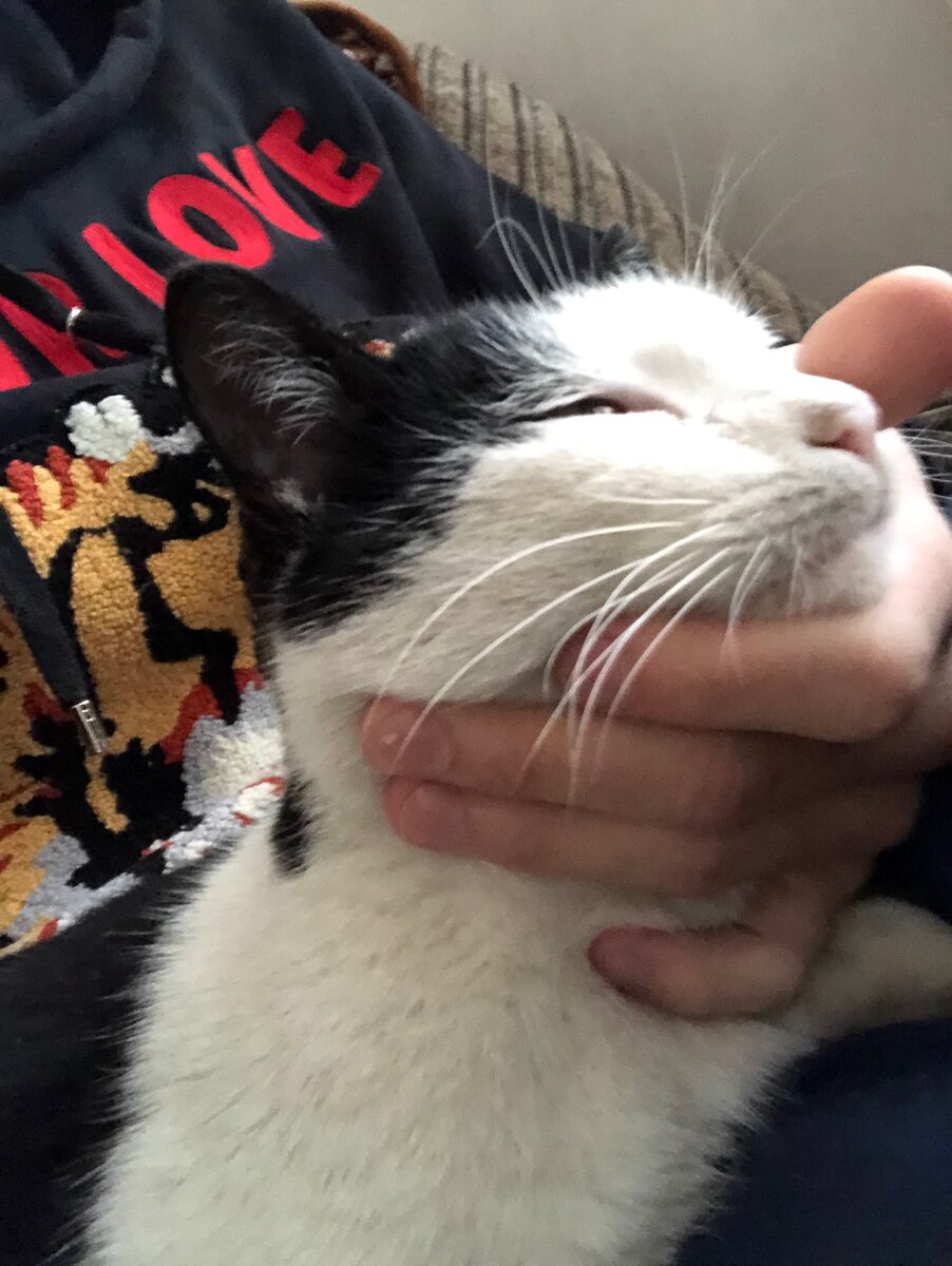 Мой коллега, всегда довольный, деньги не занимает, и не берет мою кружку, золотой сотрудник!!!