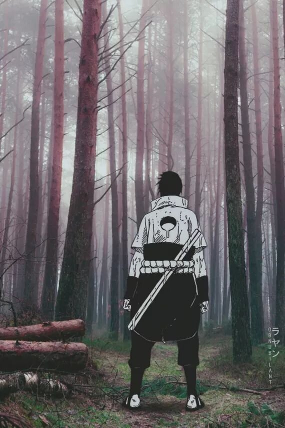 когда заблудился в лесу автор Obnubilant