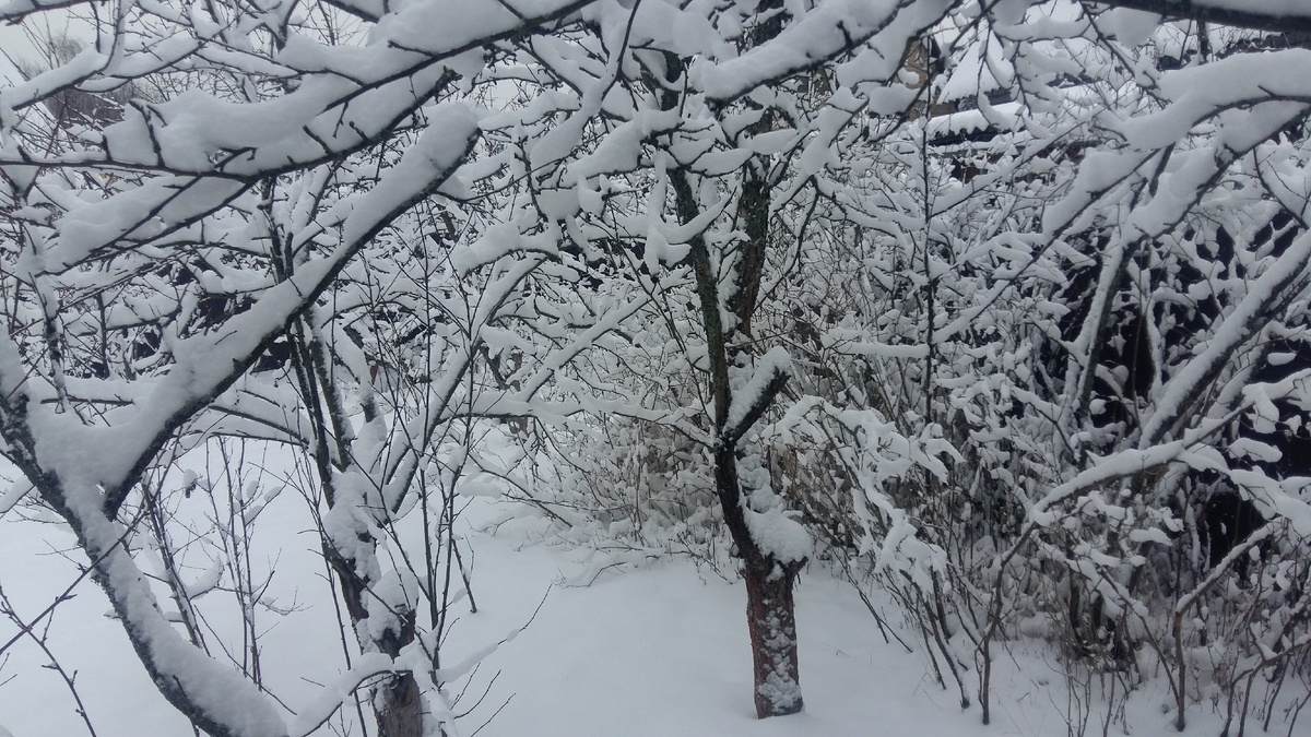 Фото от автора