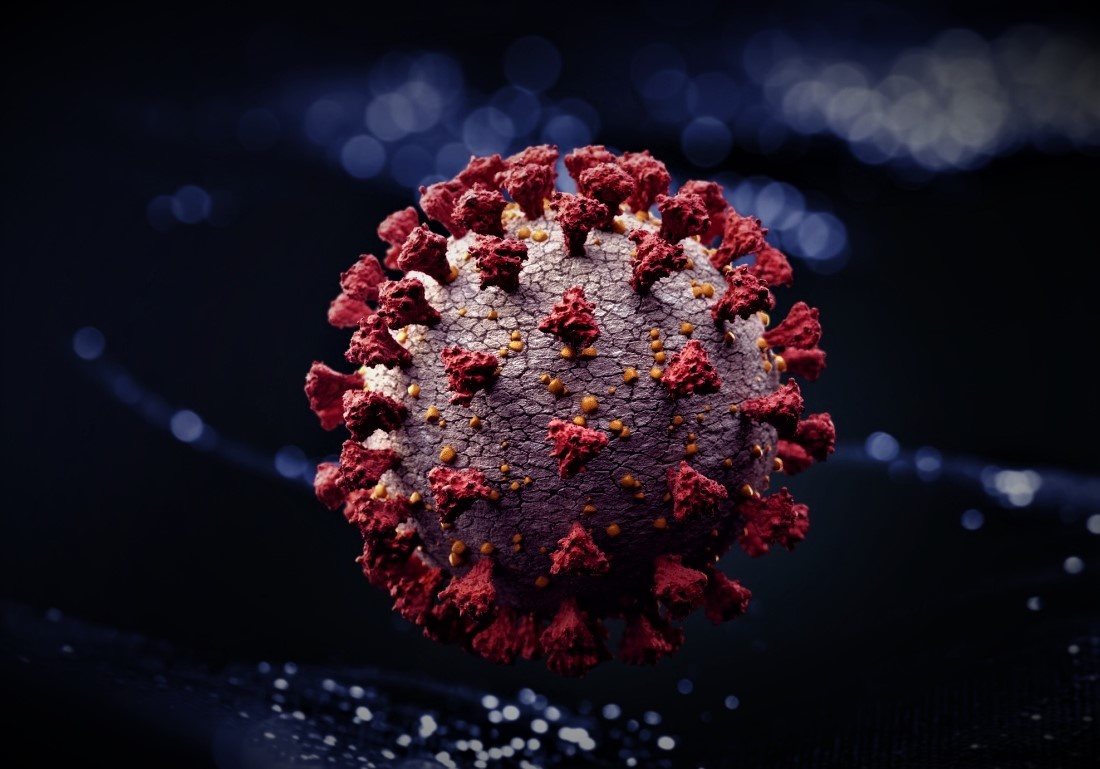 вирусная клетка 