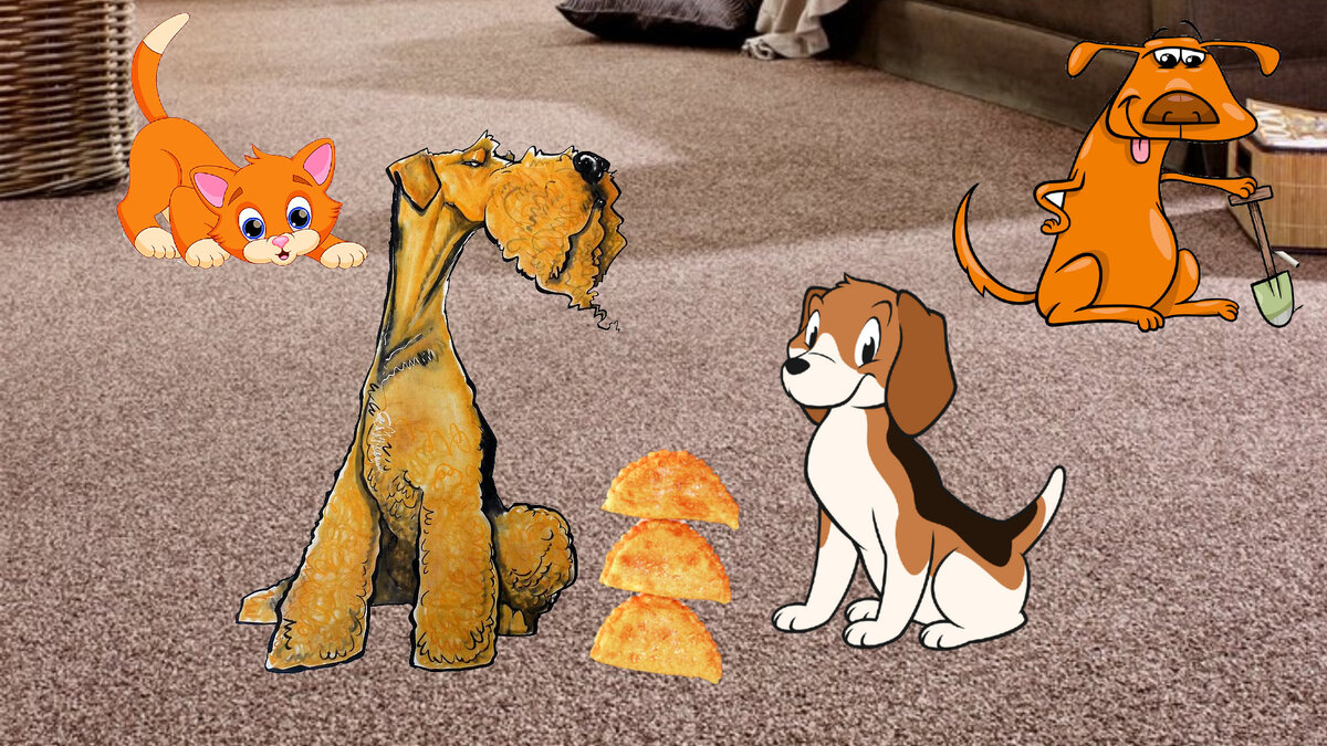 Пишите комментарии, ставьте лайк, подписывайтесь на канал)