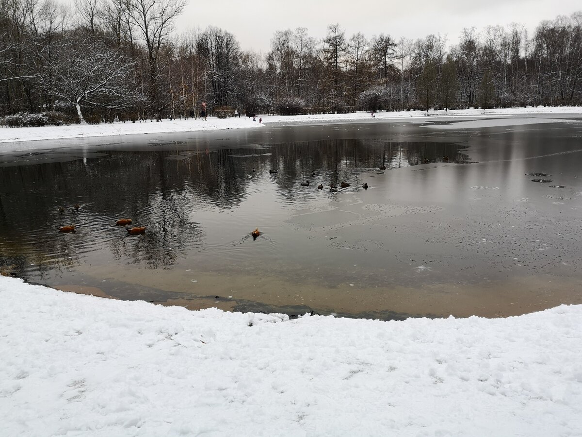 21 ноября 2020. 