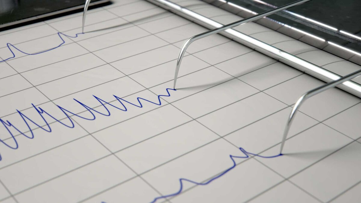 Источник: AFPI Global Investigations