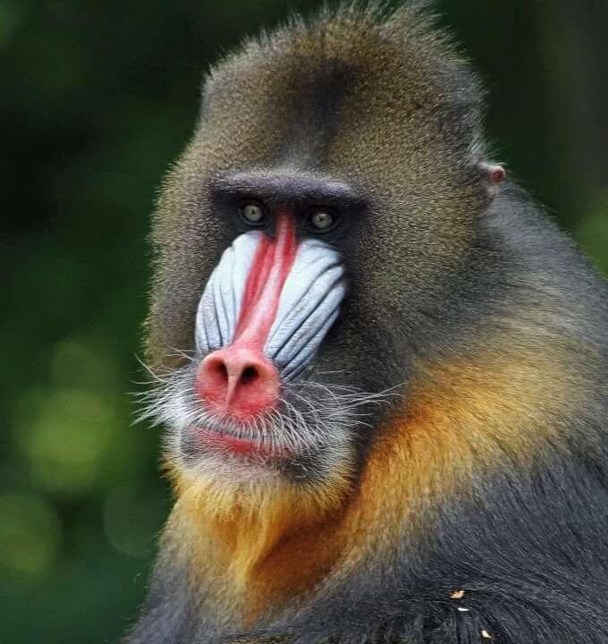 Фото из сети интернет