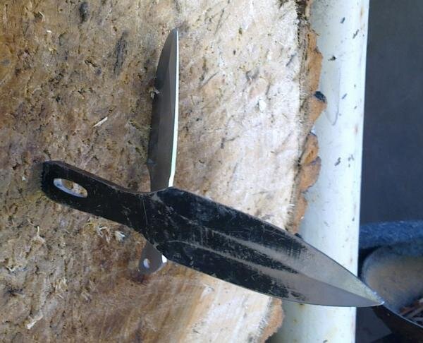 Фото из интернета