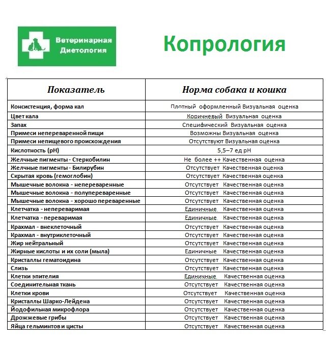 Стеркобилин в кале положительный у взрослого что означает — Статьи об онкологии