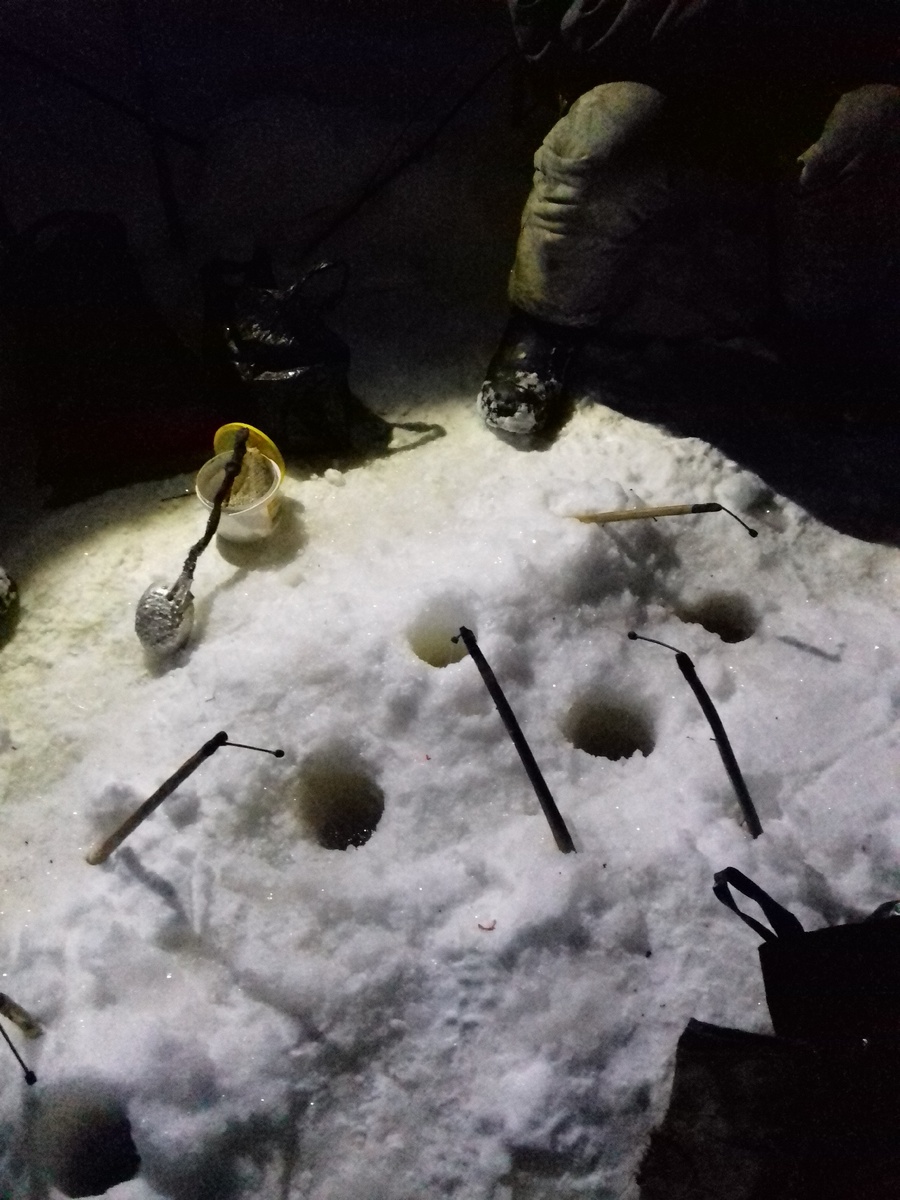 Ерши клюют даже поздно вечером или ночью