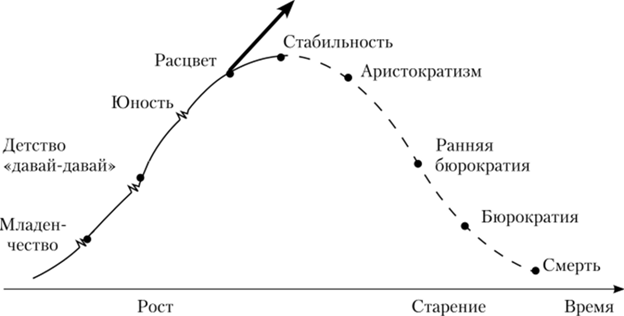 Концепция жизненного цикла И.К. Адизеса