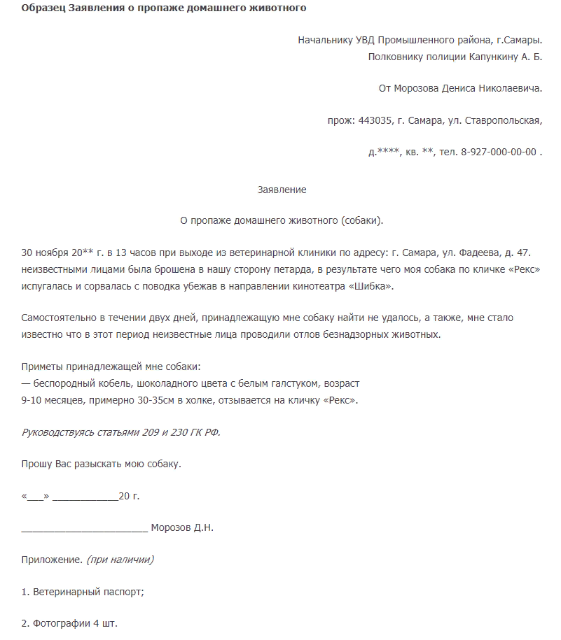 Образец заявления в полицию о пропаже человека образец заявления в полицию