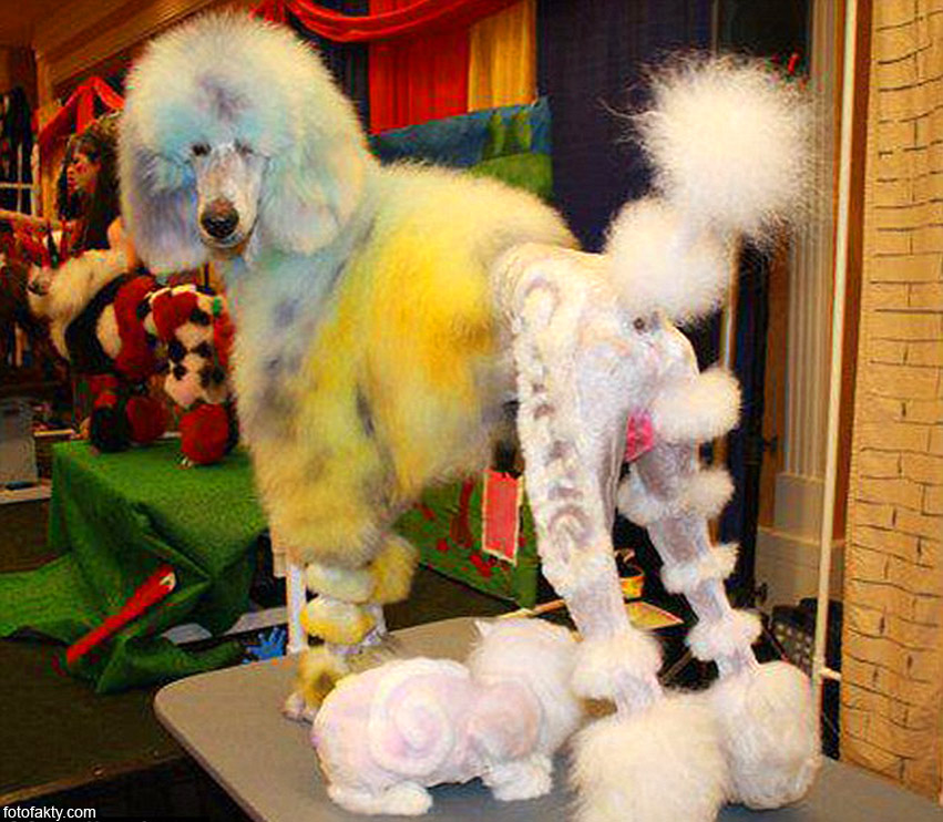 Нет, мы отказываемся угадывать эту породу.