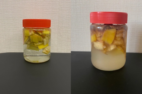 Банановая кожура не только для подкормки растений, но и для протирания листьев: зачем и что даст такая процедура?2