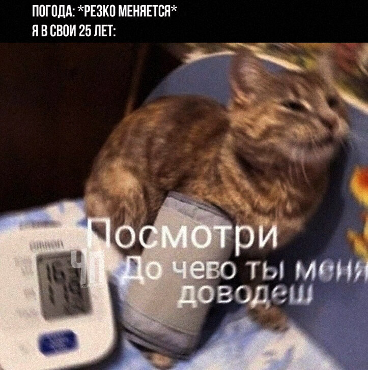 У вас повышенное