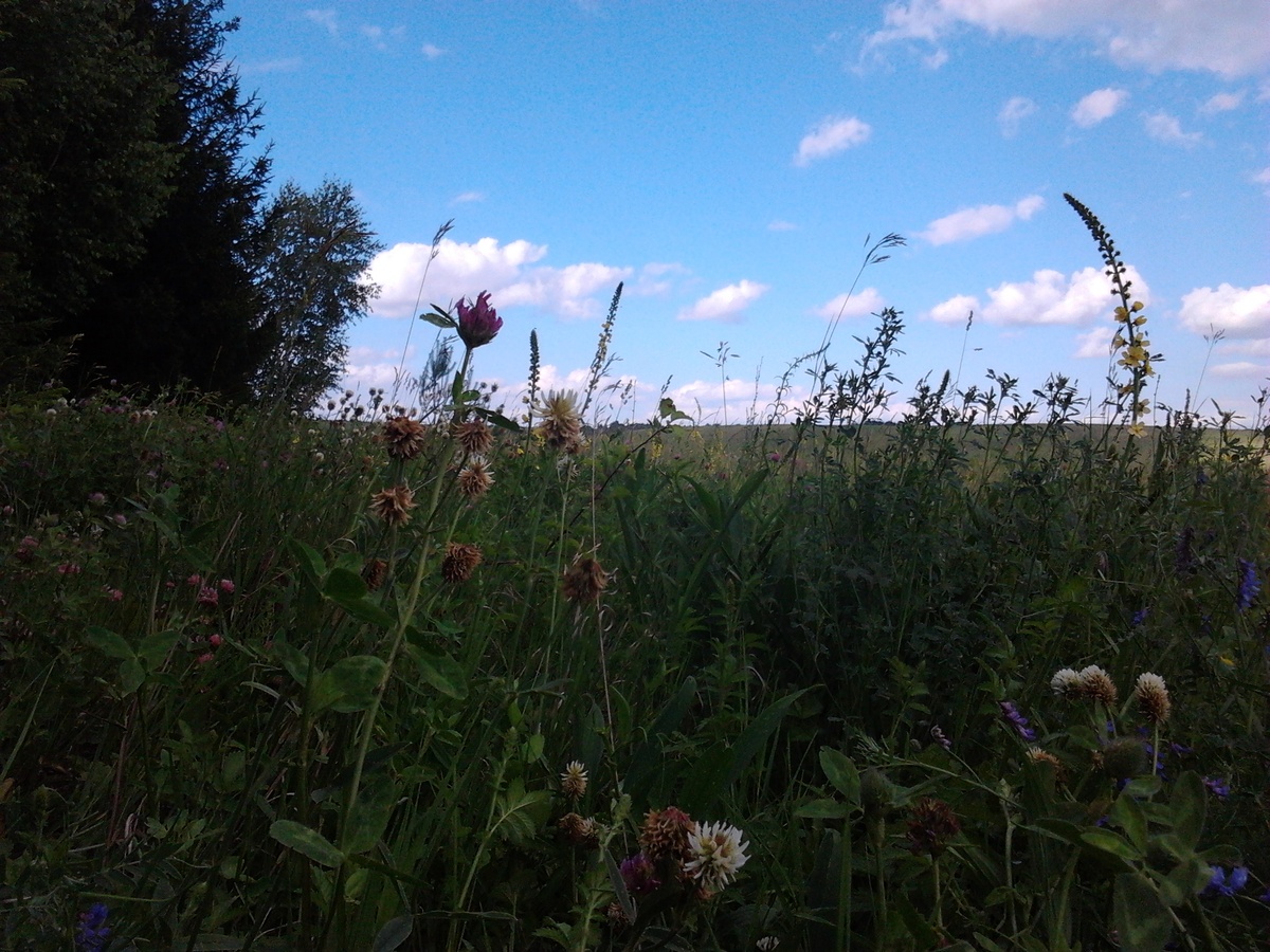 Вот не такое прекрасное было лето.
