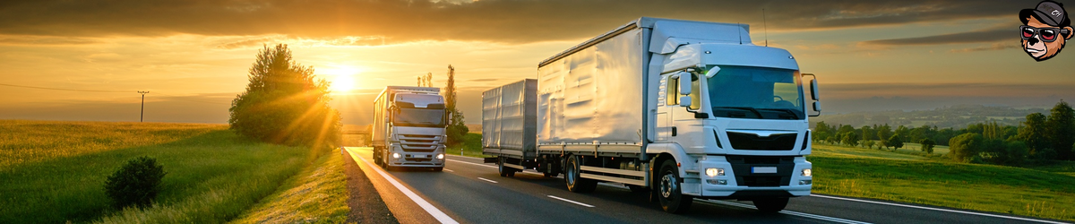 Продвижение транспортной компании