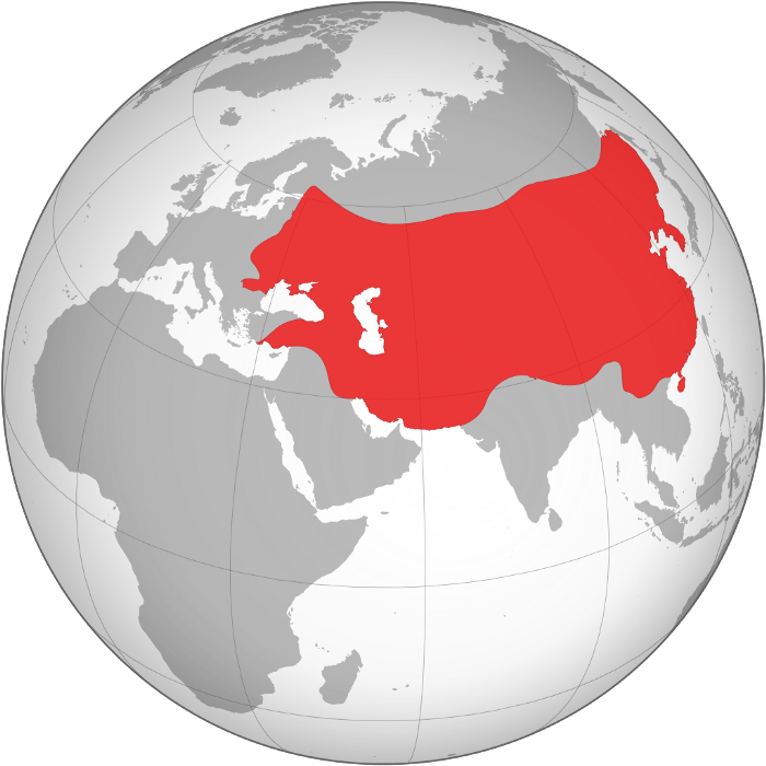 Как распалась крупнейшая в мире империя. Небольшая история о крахе Монгольской империи