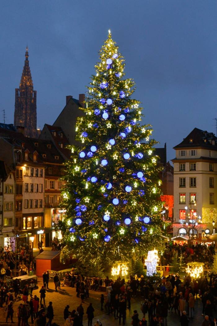 Елка в Страсбурге, Франция.