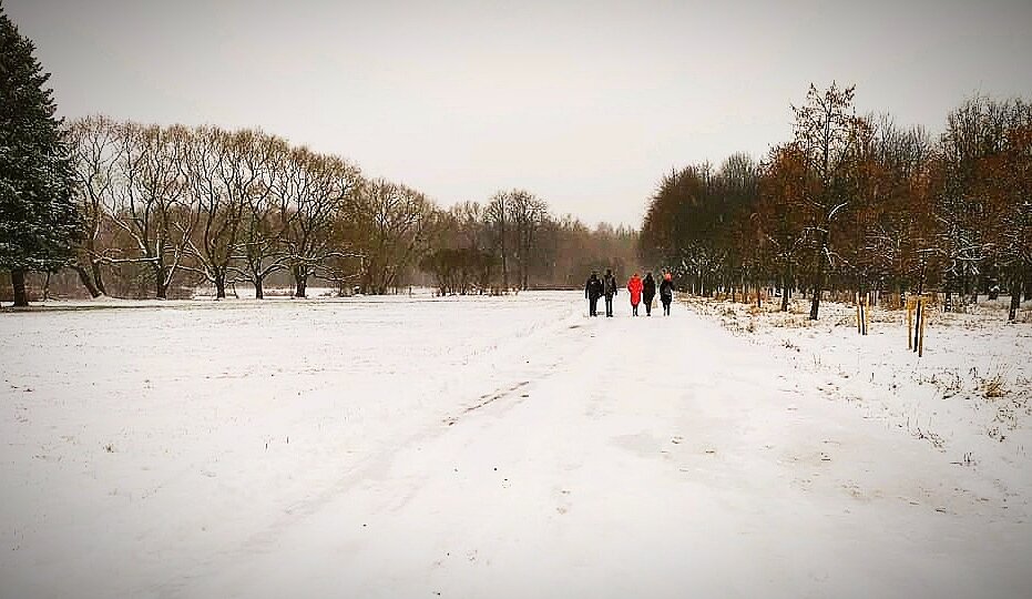 Полежаевский парк. Архив