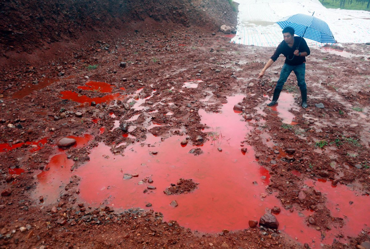 Photo: Business Insider / Stringer / Reuters