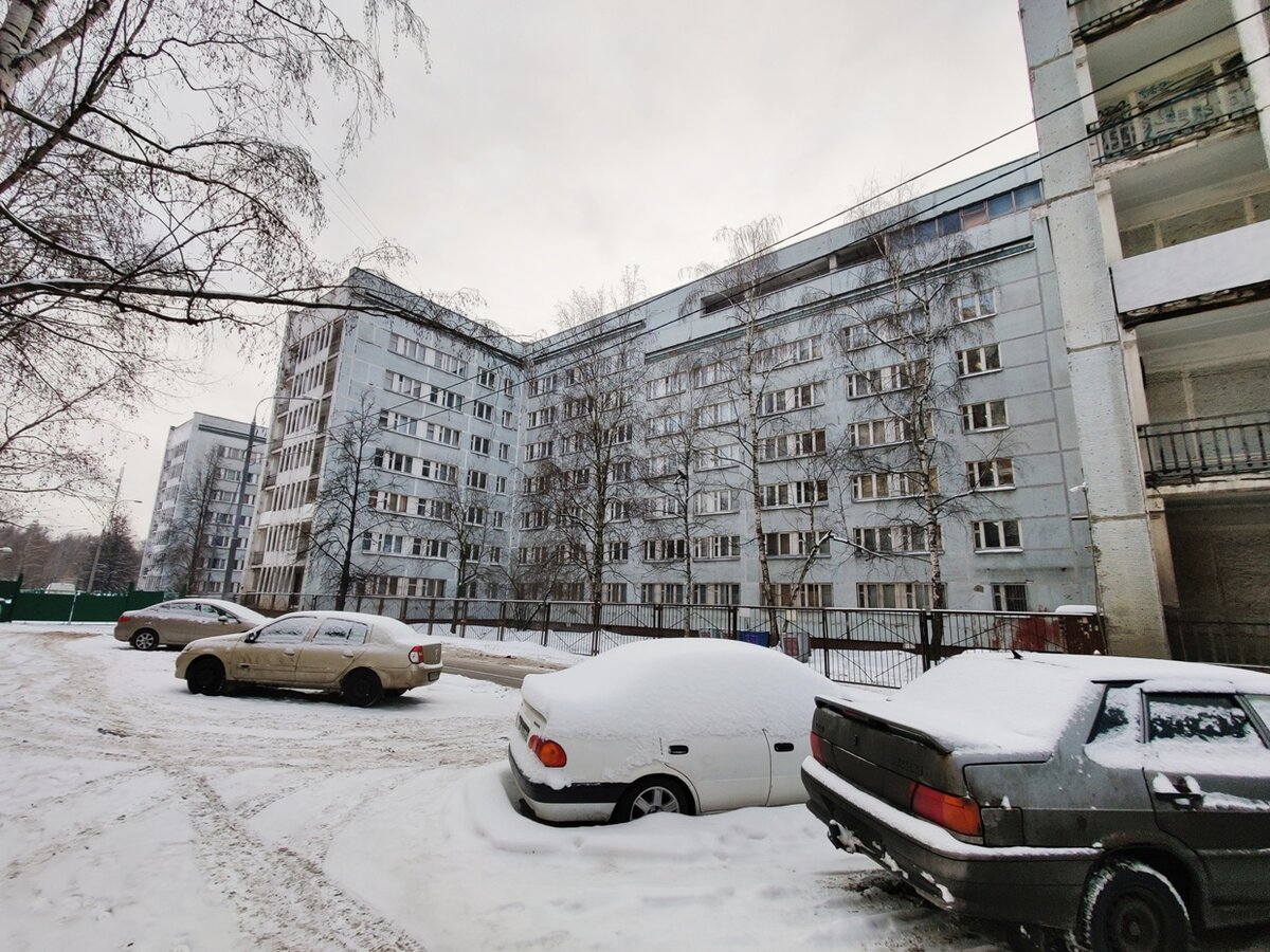 ЖК Сказочный Лес. Лосиный остров в окошке, но добираться пока только на  авто | Build5: новостройки Москвы | Дзен