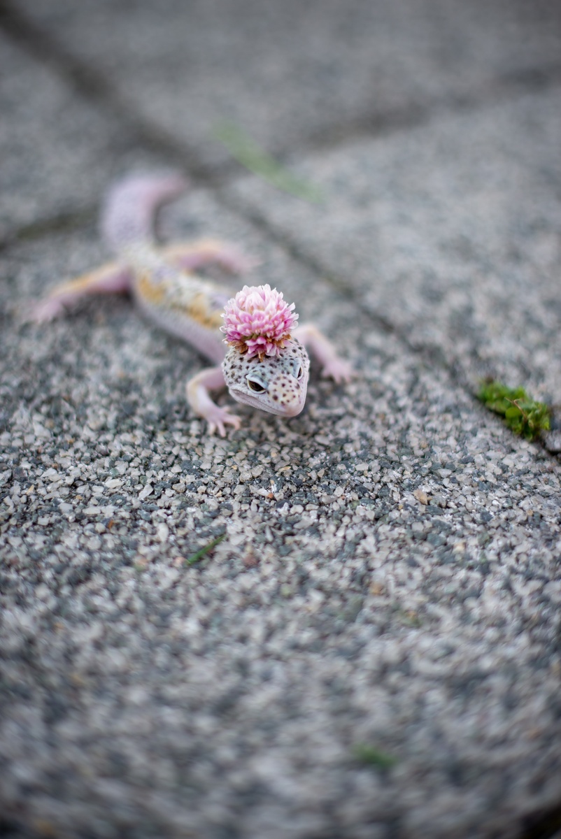 Вот  и Лаки :3