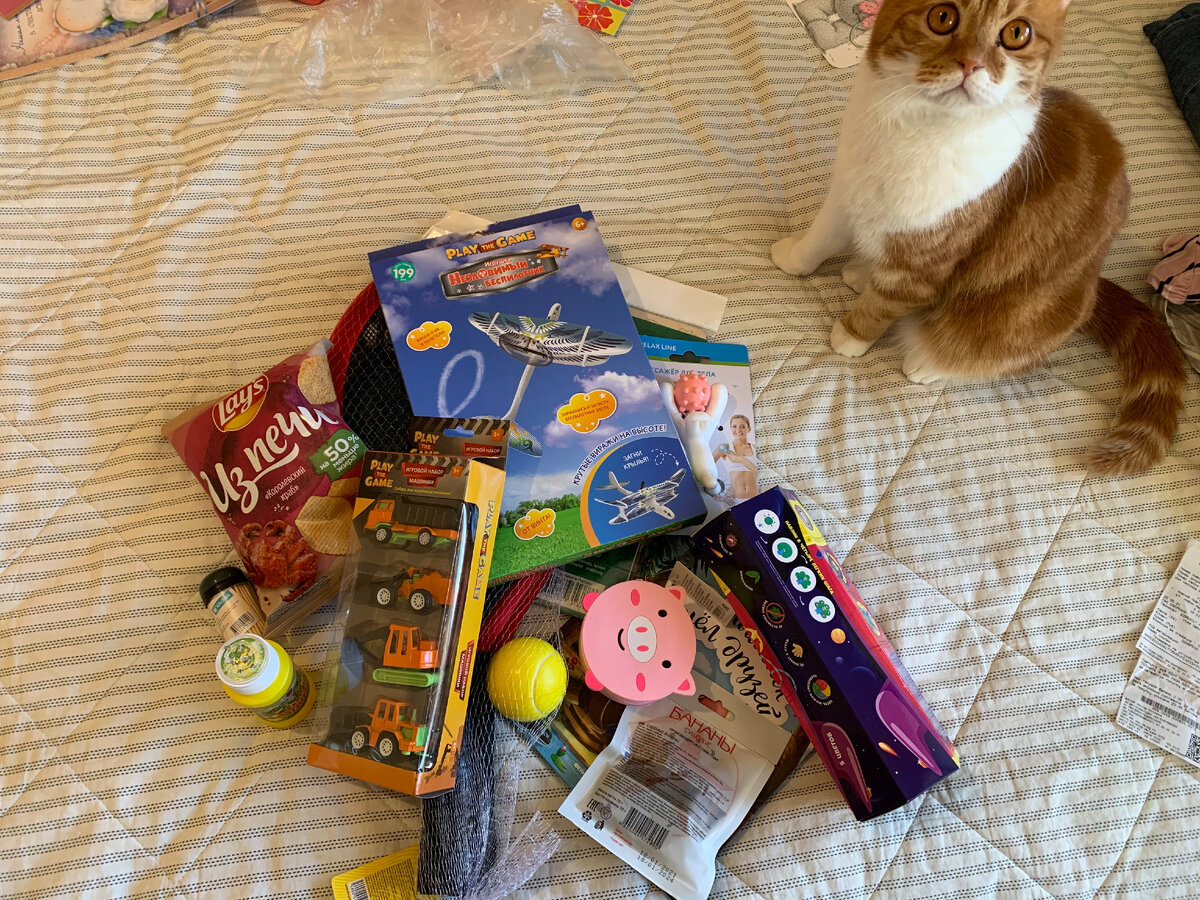 Фото с котом