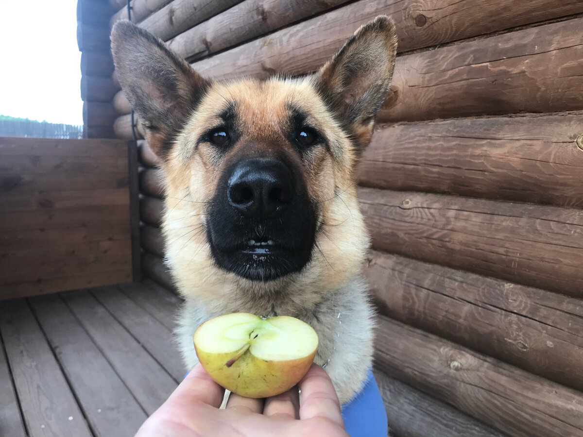 Бритни всегда не прочь перекусить яблочком 