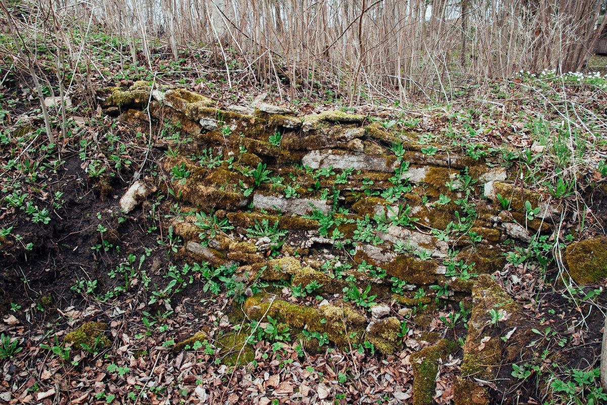 Любшанская крепость (Lyubsha Fortress)