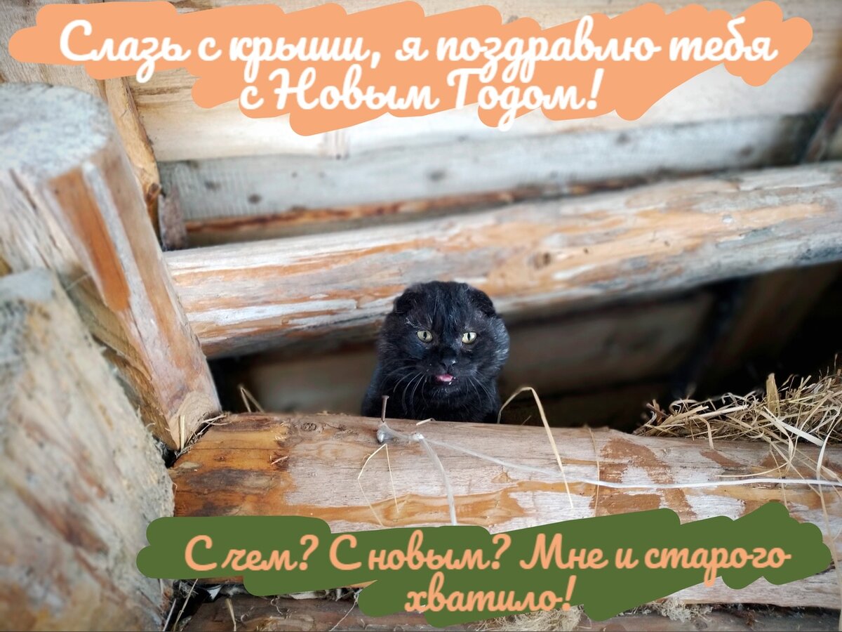 Таежка 8 дзен. Таёжка. Таежка 8 дзен. Таежка 8 дзен. Таежка 8 дзен.