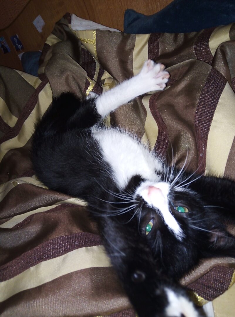 Федька. Фото из личного архива