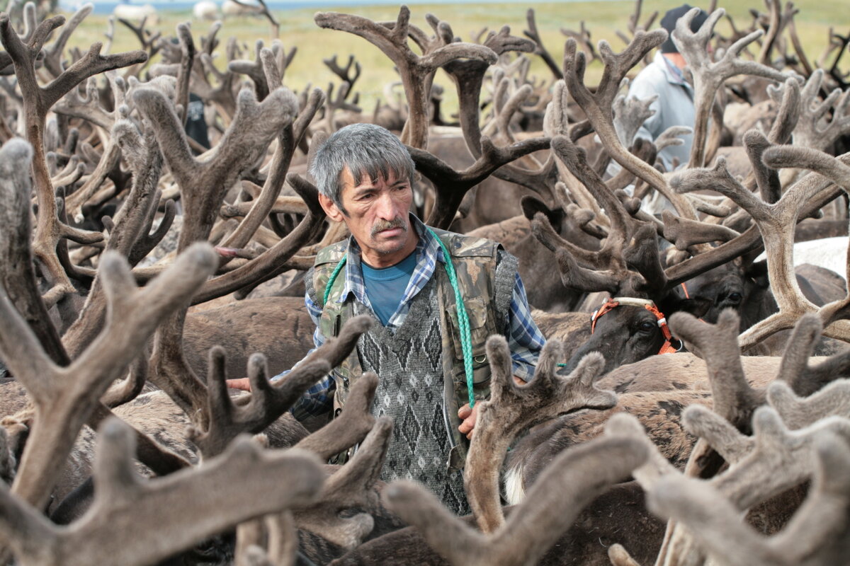 Фото: Николай Гернет / GeoPhoto