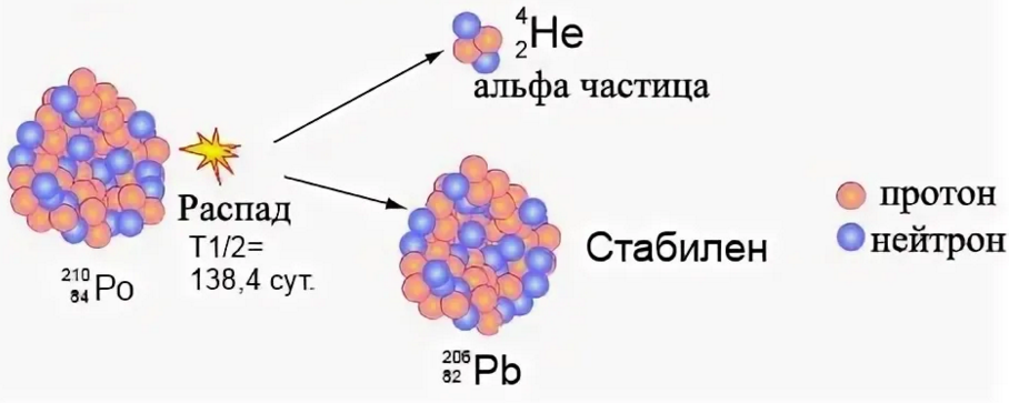 Изотоп полония альфа радиоактивен какой