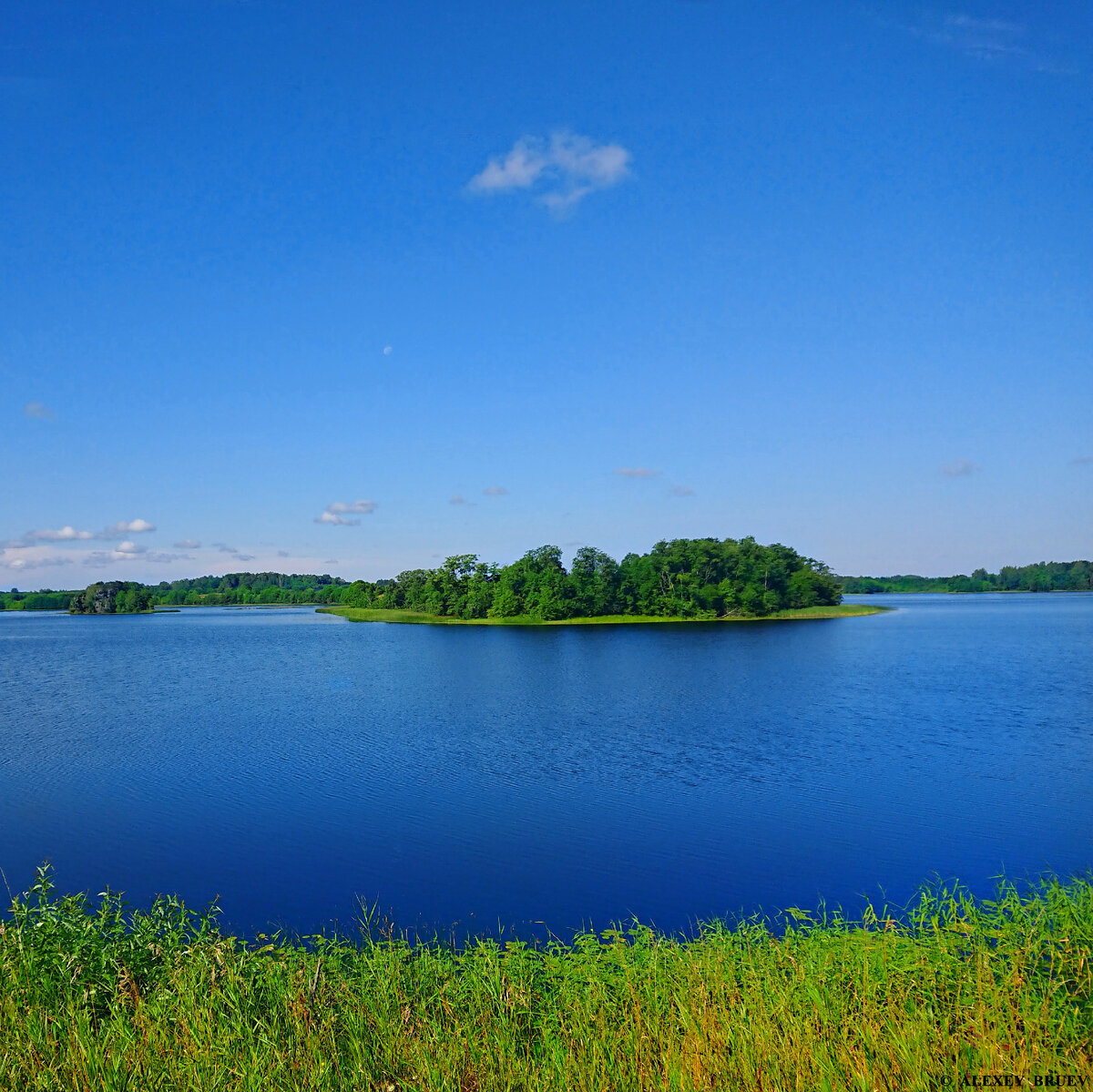 Завережье озеро, Невельский район, Псковская область 