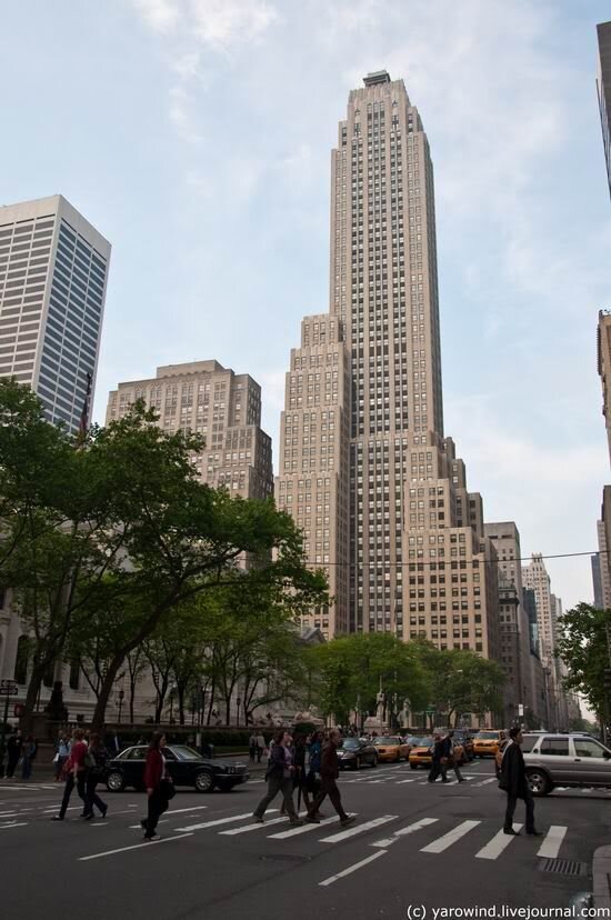 Нью-Йорк, 5-я авеню