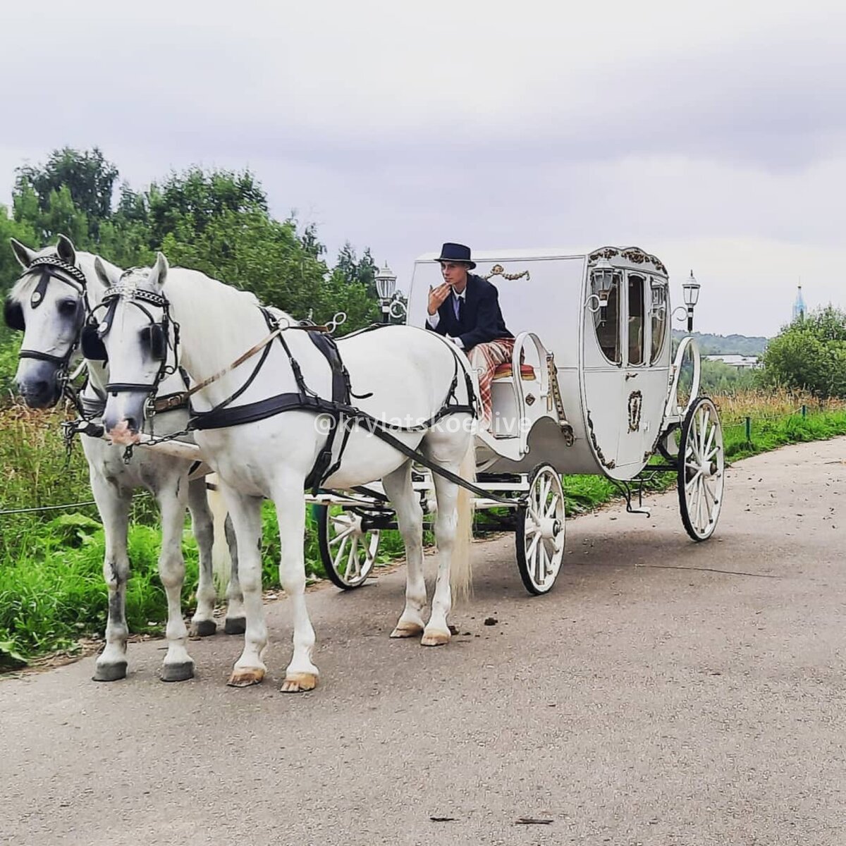 Песня королева на белой карете слушать. Карета. Королевская карета с лошадьми.