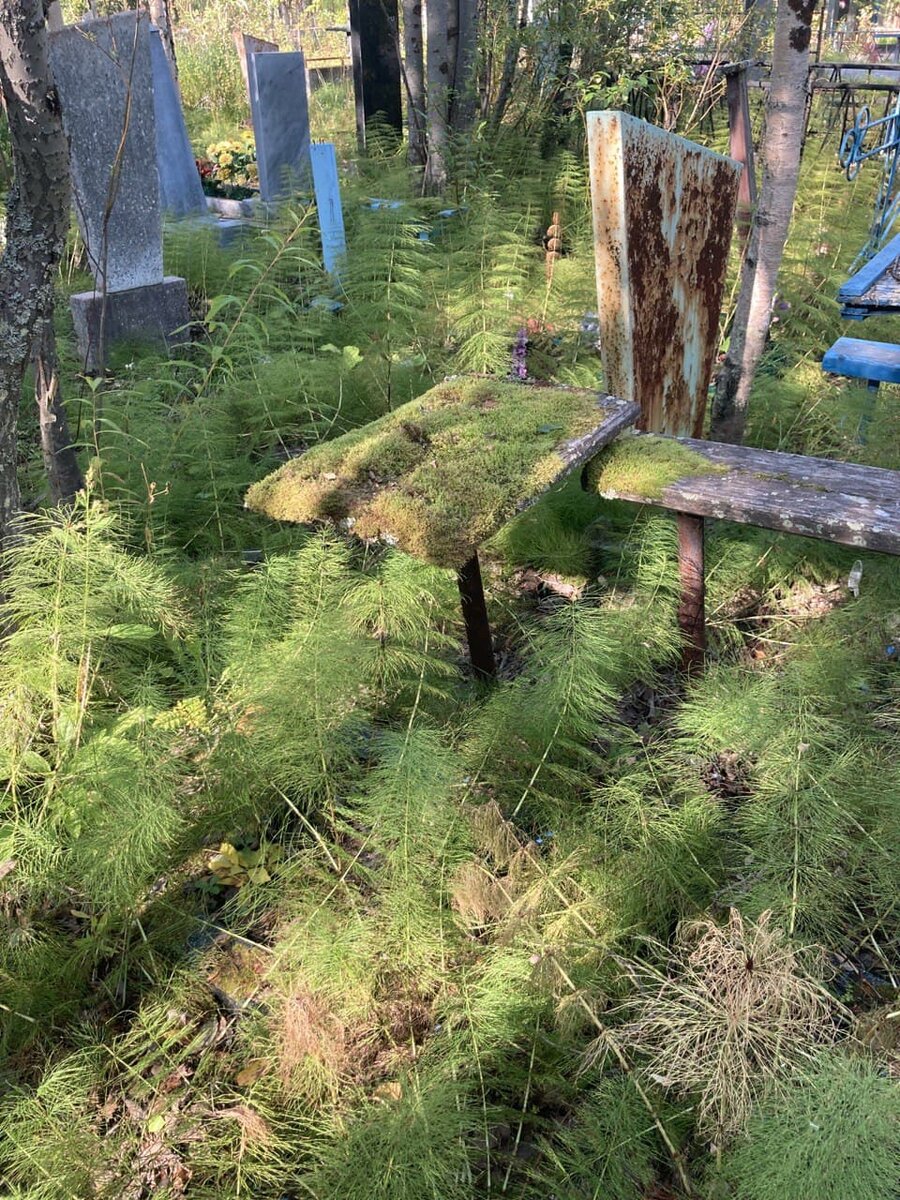 Так выглядят некоторые могилы в "старой" части Нового кладбища