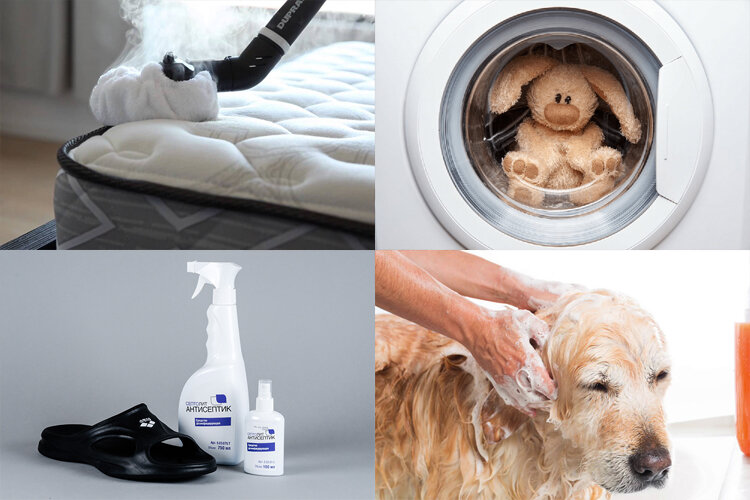 Выведение блох