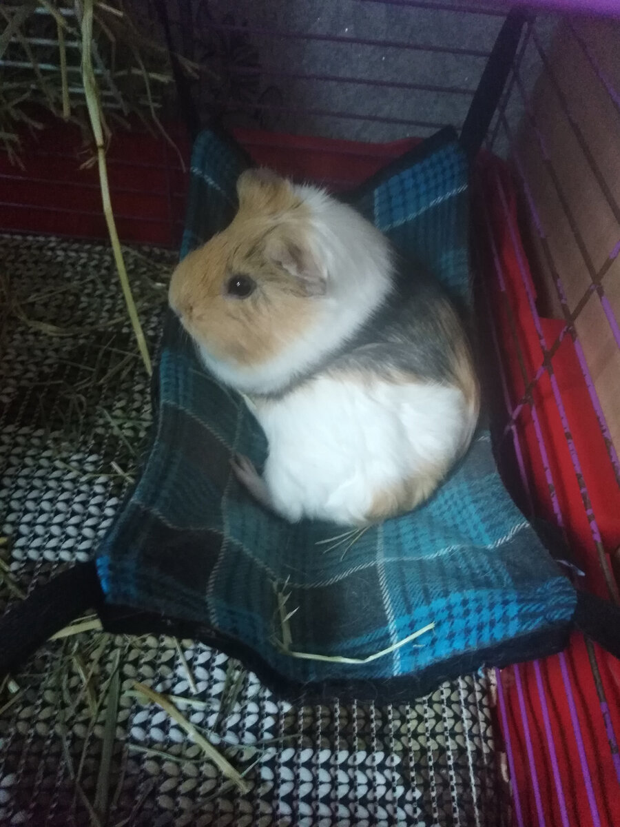 Булочка Марфа