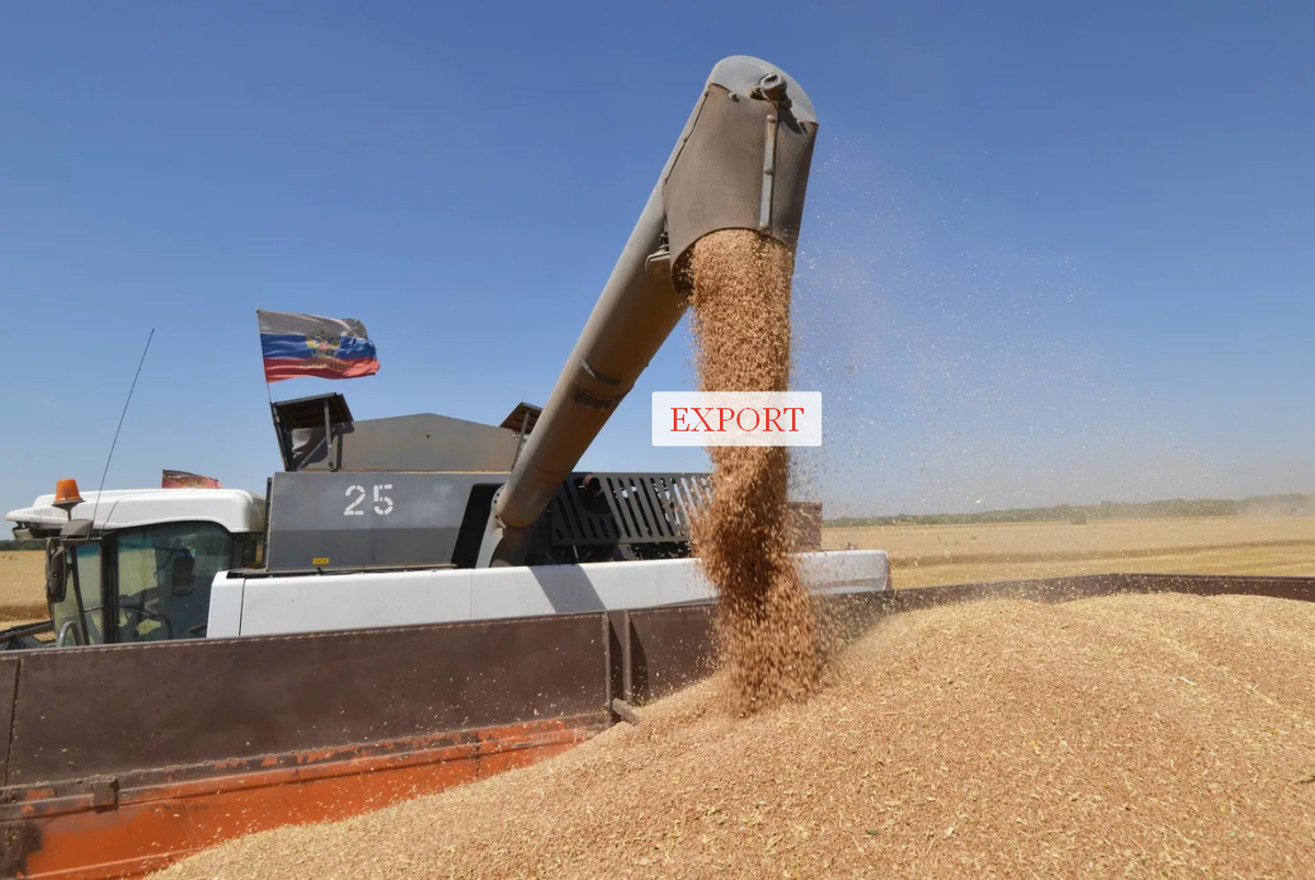 Зерно для экспорта