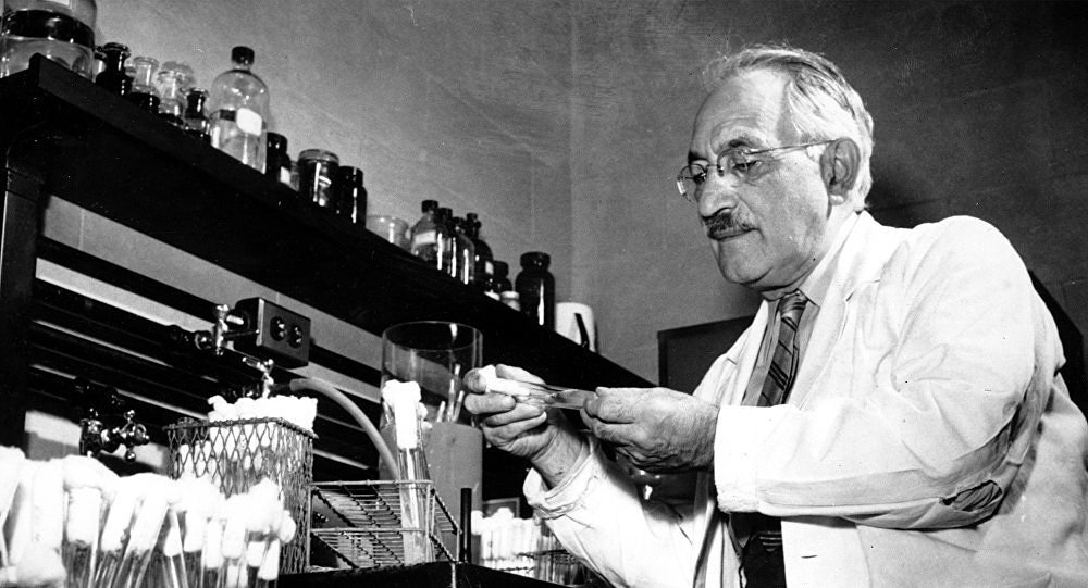 Зельман Ваксман в лаборатории занимается проблемой туберкулеза