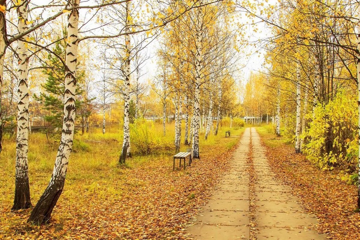 Вот и октябрь уходит