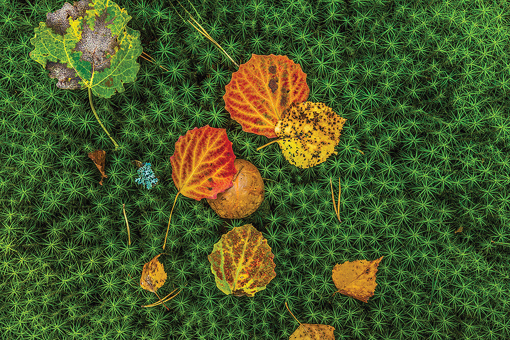 Национальный парк «Валдайский», август 2018