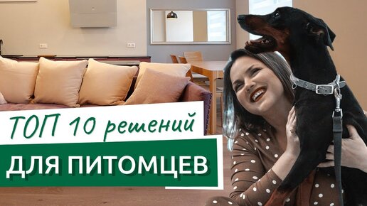 ТОП 10 решений для питомцев в квартире | советы для владельцев животные до и после ремонта