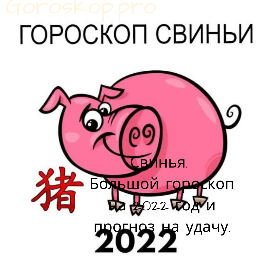 Свинья. Большой гороскоп на 2022 год и прогноз на удачу. | Goroskop Pro |  Дзен