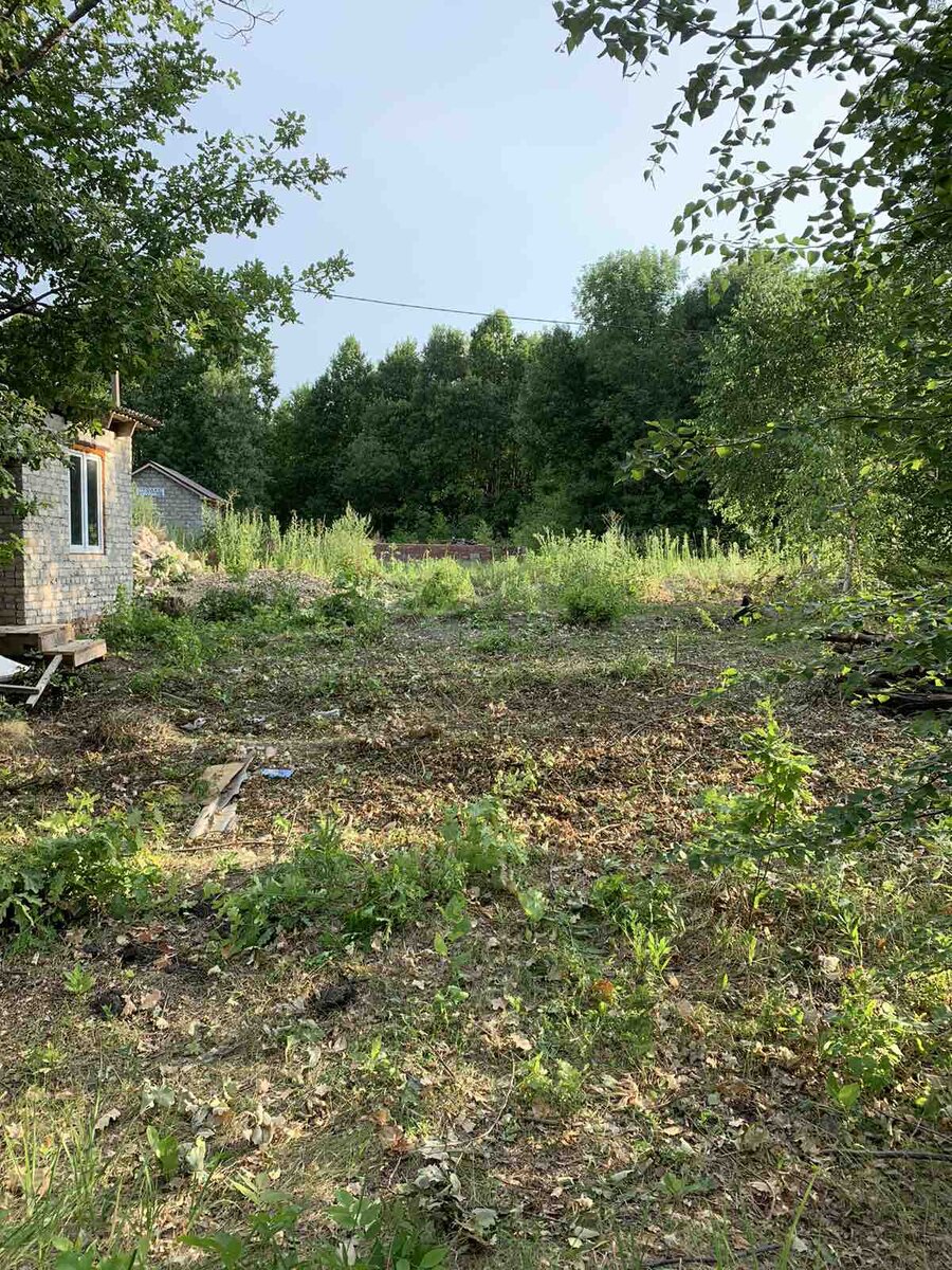 Наш дачный участок до постройки дома.