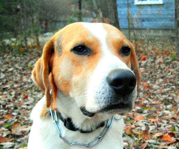 Фото из свободного доступа